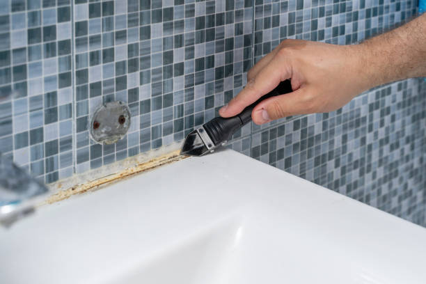 Best DIY Mold Remediation Support Services in San Gabriel, CA